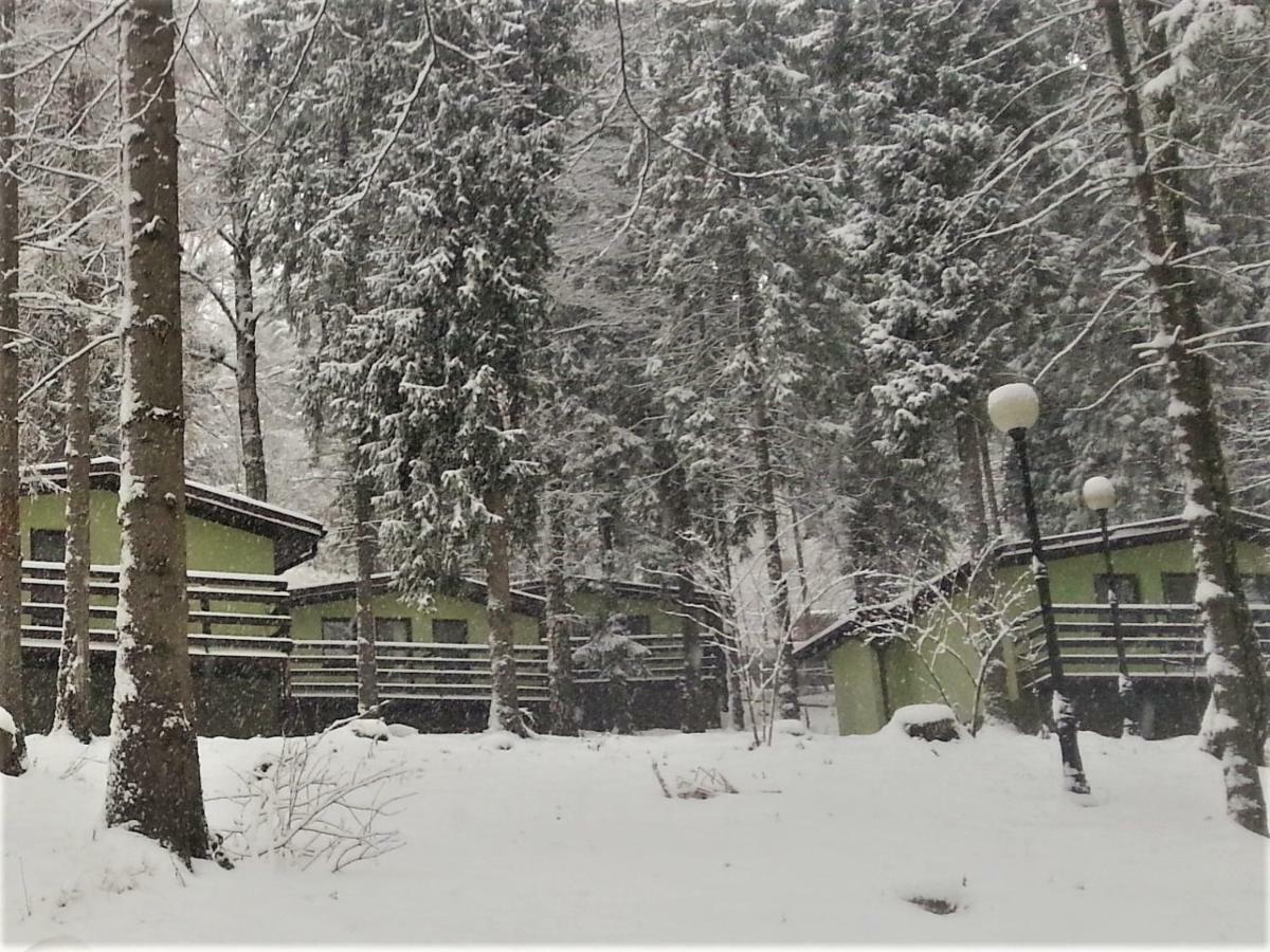 Kompleks Wypoczynkowo - Sportowy "Marysienka" Villa Miedzybrodzie Bialskie Exterior photo